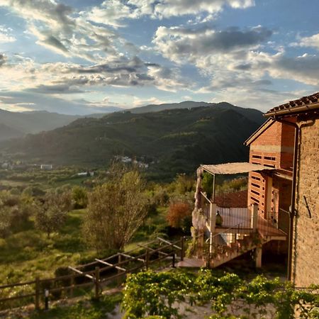 Agriturismo La Fontaccia Руфина Экстерьер фото