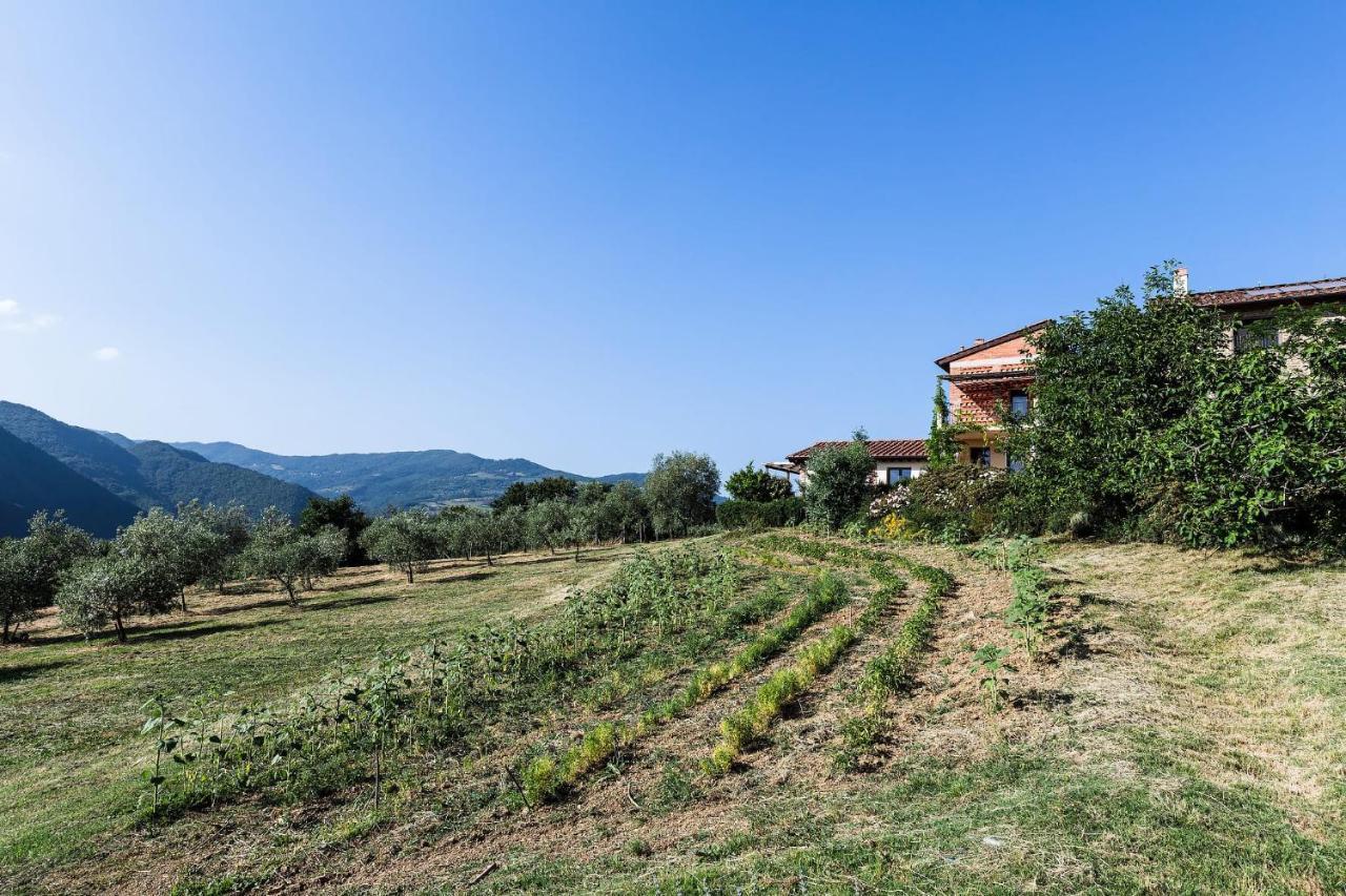 Agriturismo La Fontaccia Руфина Экстерьер фото
