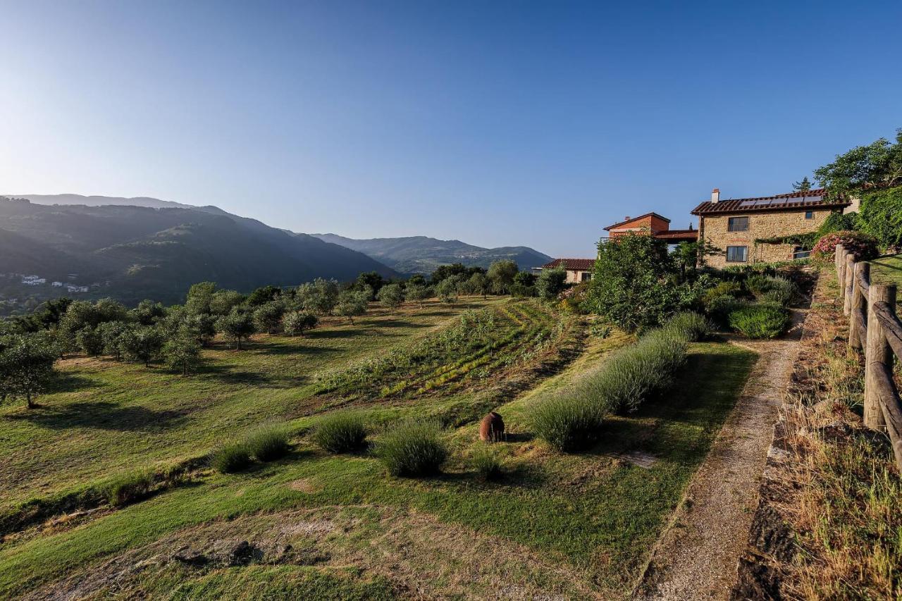 Agriturismo La Fontaccia Руфина Экстерьер фото