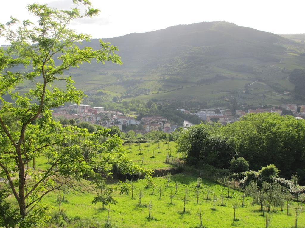 Agriturismo La Fontaccia Руфина Экстерьер фото