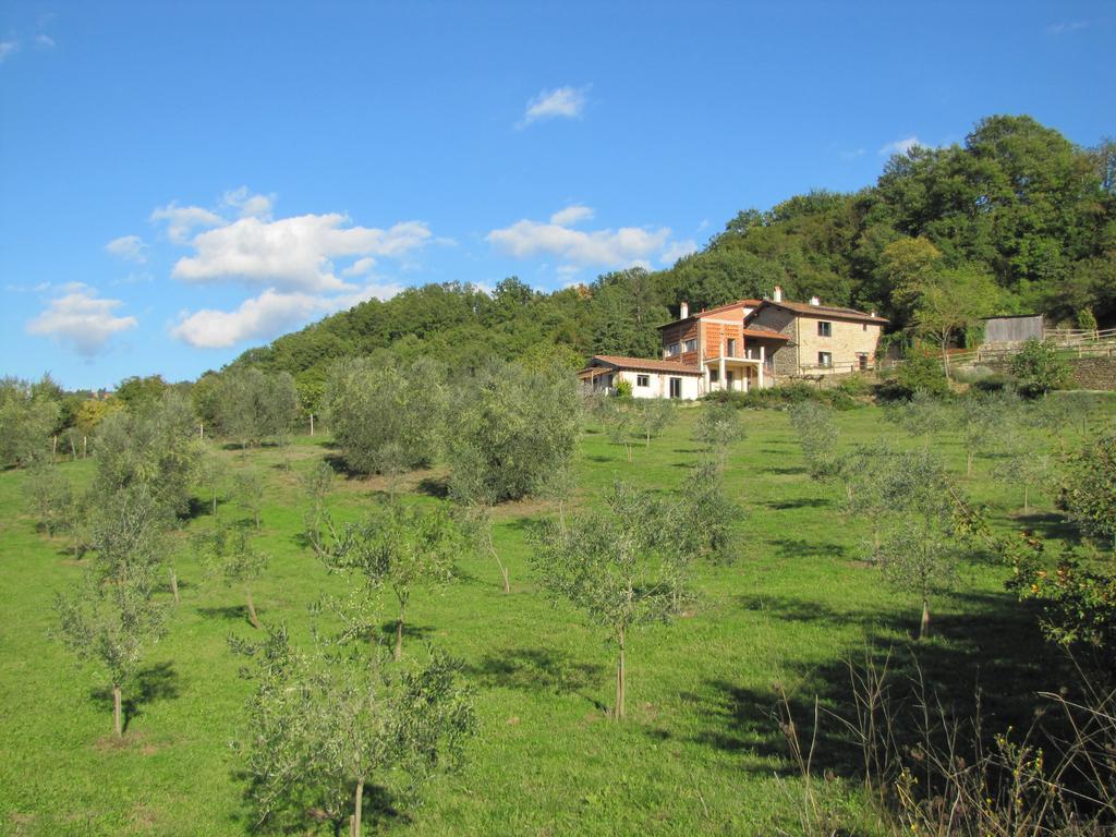 Agriturismo La Fontaccia Руфина Экстерьер фото