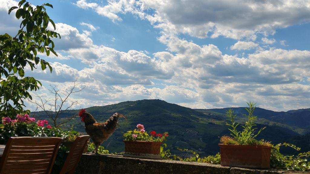 Agriturismo La Fontaccia Руфина Экстерьер фото