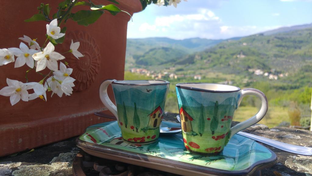 Agriturismo La Fontaccia Руфина Экстерьер фото